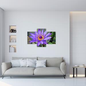 Obraz - Fialová kvetina (90x60 cm)