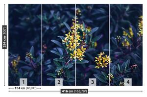 Fototapeta Vliesová Žlté kvety 416x254 cm