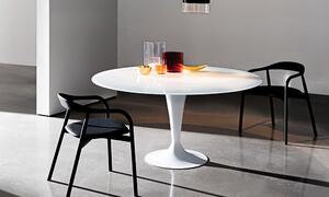 FLUTE jedálenský stôl - kruh priemer 100cm , číre,dymové alebo lakované sklo v rôznych farbách