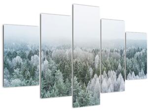 Obraz - Zasnežené vrcholky lesov (150x105 cm)