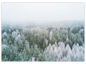 Obraz - Zasnežené vrcholky lesov (70x50 cm)