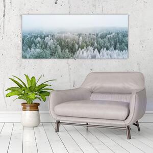 Obraz - Zasnežené vrcholky lesov (120x50 cm)