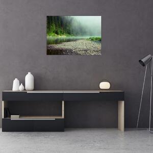 Obraz - Rieka pri lese (70x50 cm)