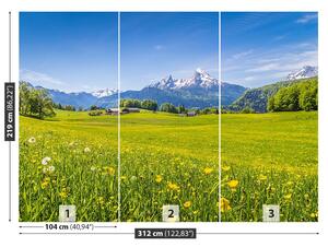 Fototapeta Vliesová Alpské lúky 312x219 cm