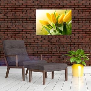 Obraz - Žlté tulipány (70x50 cm)