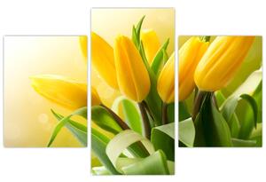 Obraz - Žlté tulipány (90x60 cm)