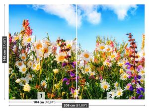Fototapeta Vliesová Jarné kvety 208x146 cm