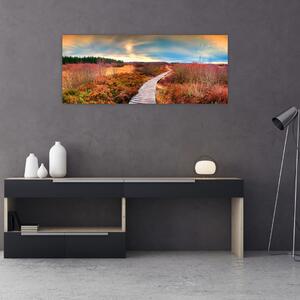 Obraz - Jesenná cesta krajinou (120x50 cm)