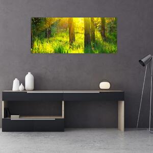 Obraz - Jarné prebúdzanie lesa (120x50 cm)
