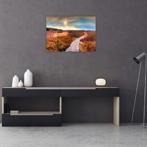 Obraz - Jesenná cesta krajinou (70x50 cm)