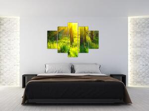 Obraz - Jarné prebúdzanie lesa (150x105 cm)