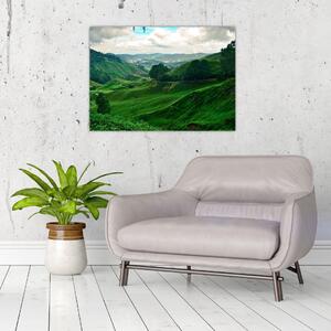 Sklenený obraz - Čajové plantáže v Malajzii (70x50 cm)