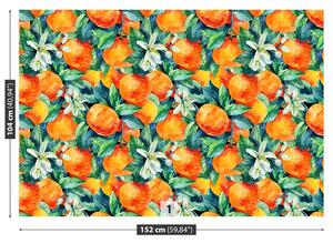 Fototapeta Vliesová Oranžové plody 152x104 cm