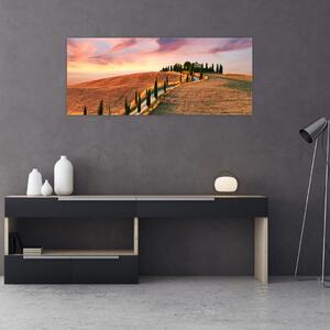 Obraz - Dom na kopci, Toskánsko, Taliansko (120x50 cm)