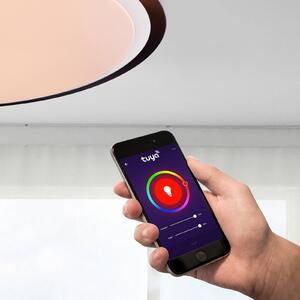 Stropné LED svietidlo Xaver Smart Home dim CCT