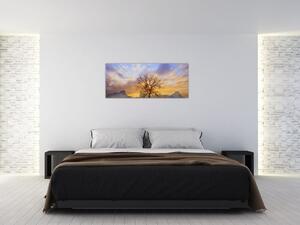 Obraz - Krajina so slnečnicami (120x50 cm)