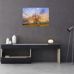 Obraz - Krajina so slnečnicami (70x50 cm)
