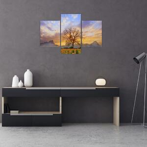 Obraz - Krajina so slnečnicami (90x60 cm)