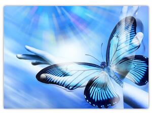 Obraz - Motýľ, symbol nádeje (70x50 cm)