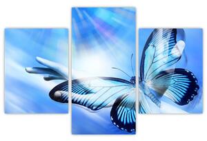 Obraz - Motýľ, symbol nádeje (90x60 cm)