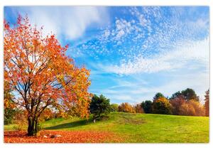 Obraz - Jesenná krajina (90x60 cm)