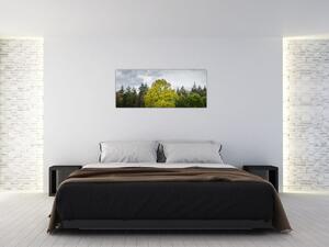 Obraz zeleného stromu uprostred poľa (120x50 cm)