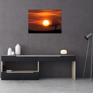 Obraz - Západ slnka (70x50 cm)