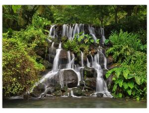 Obraz vodopádov v tropickom lese (70x50 cm)