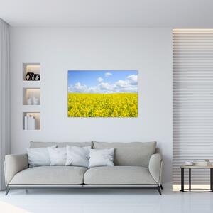 Obraz žltého poľa (90x60 cm)