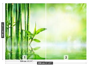 Fototapeta Vliesová Bambusová voda 208x146 cm