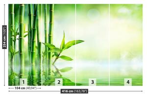 Fototapeta Vliesová Bambusová voda 416x254 cm