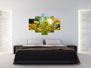 Obraz žltých kvetov (150x105 cm)