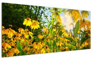 Obraz žltých kvetov (120x50 cm)