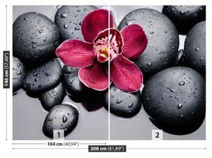 Fototapeta Vliesová Orchidea kamene 208x146 cm