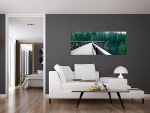 Obraz - Most k vrcholkom stromov (120x50 cm)