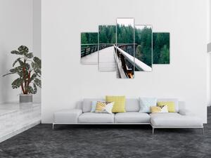 Obraz - Most k vrcholkom stromov (150x105 cm)