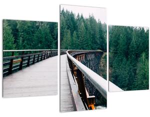 Obraz - Most k vrcholkom stromov (90x60 cm)