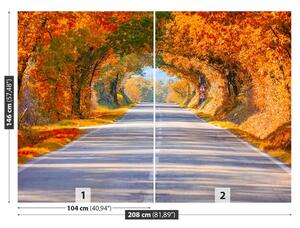 Fototapeta Vliesová Cesty na jeseň 208x146 cm