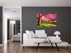 Obraz rozkvitnutých čerešní, Hurd Park, Dover, New Jersey (90x60 cm)