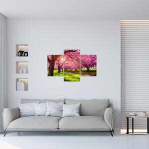 Obraz rozkvitnutých čerešní, Hurd Park, Dover, New Jersey (90x60 cm)