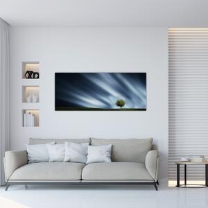 Obraz polárna žiara nad vresoviskom (120x50 cm)
