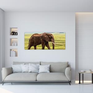 Obraz slona (120x50 cm)