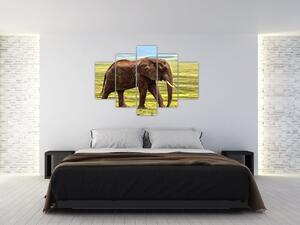 Obraz slona (150x105 cm)