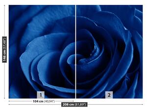 Fototapeta Vliesová Modrá ruža 208x146 cm