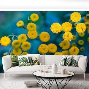 Fototapeta Vliesová Žlté kvety 208x146 cm