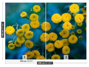 Fototapeta Vliesová Žlté kvety 208x146 cm