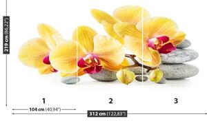 Fototapeta Vliesová Žltá orchidea 312x219 cm