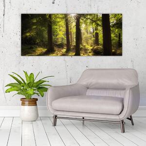 Obraz snového lesa (120x50 cm)