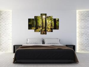 Obraz snového lesa (150x105 cm)