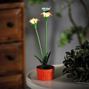 Solárne napájaná farebná záhradná lampa – červená – 10 teplých bielych LED diód – 32 cm – solárne napájaná žiarovka – automaticky sa zapína pri súmraku – dekoratívne vonkajšie osvetlenie pre záhradu a balkón [11735B]